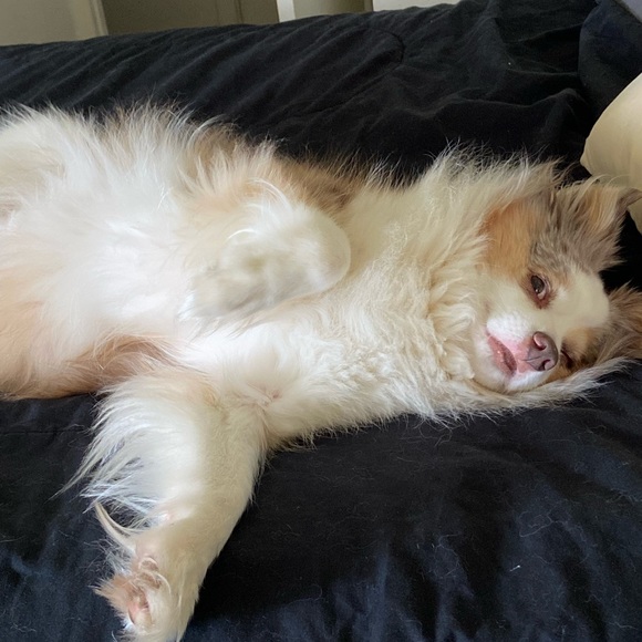 Meet your Posher, Meg - Picture 3 of 6